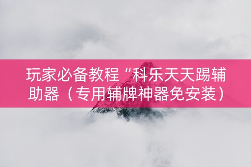 玩家必备教程“科乐天天踢辅助器（专用辅牌神器免安装）