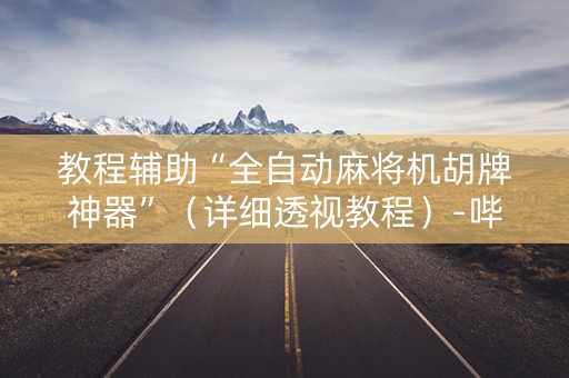教程辅助“全自动麻将机胡牌神器”（详细透视教程）-哔哩哔哩