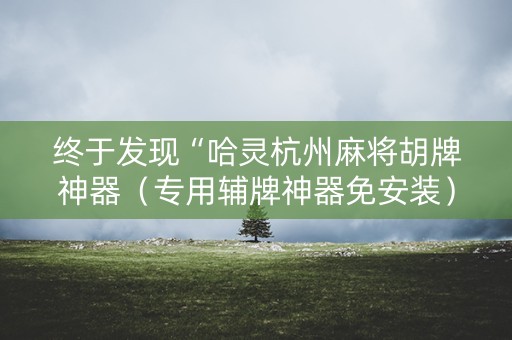 终于发现“哈灵杭州麻将胡牌神器（专用辅牌神器免安装）