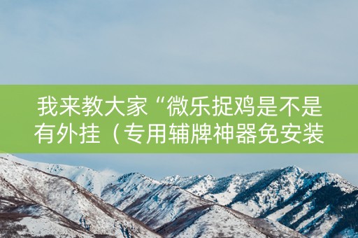 我来教大家“微乐捉鸡是不是有外挂（专用辅牌神器免安装）