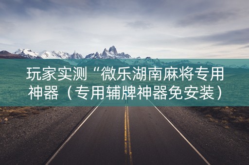 玩家实测“微乐湖南麻将专用神器（专用辅牌神器免安装）