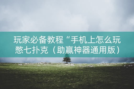 玩家必备教程“手机上怎么玩憋七扑克（助赢神器通用版）
