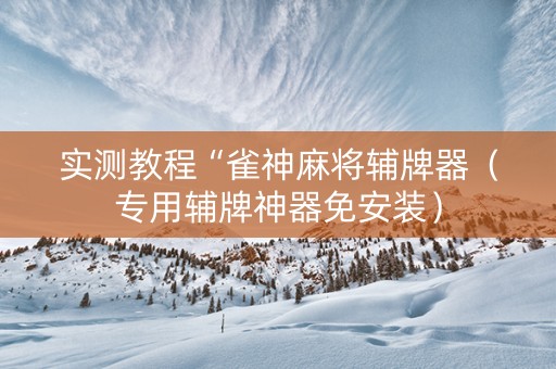 实测教程“雀神麻将辅牌器（专用辅牌神器免安装）