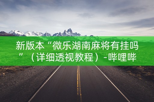 新版本“微乐湖南麻将有挂吗”（详细透视教程）-哔哩哔哩
