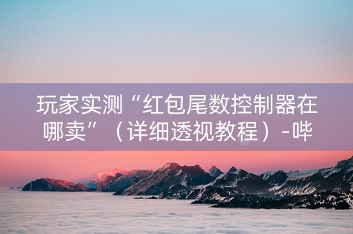 玩家实测“红包尾数控制器在哪卖”（详细透视教程）-哔哩哔哩