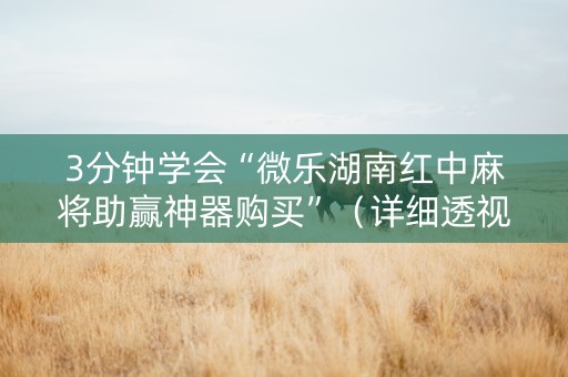 3分钟学会“微乐湖南红中麻将助赢神器购买”（详细透视教程）-哔哩哔哩