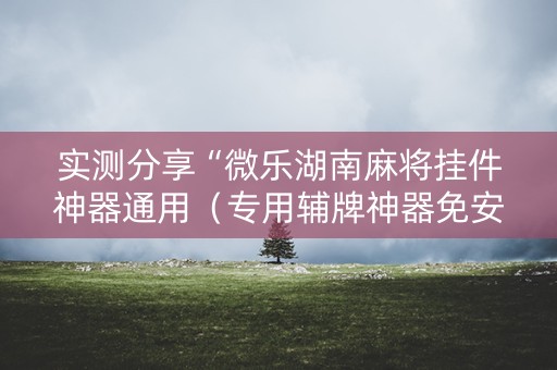 实测分享“微乐湖南麻将挂件神器通用（专用辅牌神器免安装）