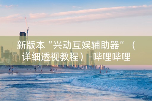 新版本“兴动互娱辅助器”（详细透视教程）-哔哩哔哩
