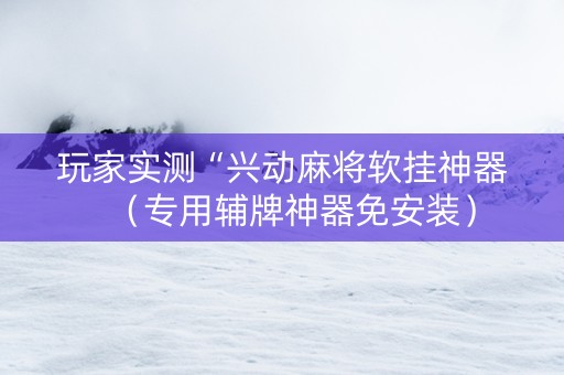 玩家实测“兴动麻将软挂神器（专用辅牌神器免安装）