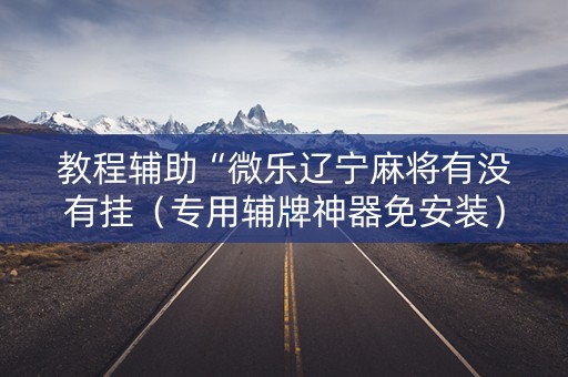 教程辅助“微乐辽宁麻将有没有挂（专用辅牌神器免安装）