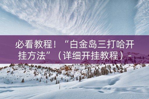 必看教程！“白金岛三打哈开挂方法”（详细开挂教程）-哔哩哔哩