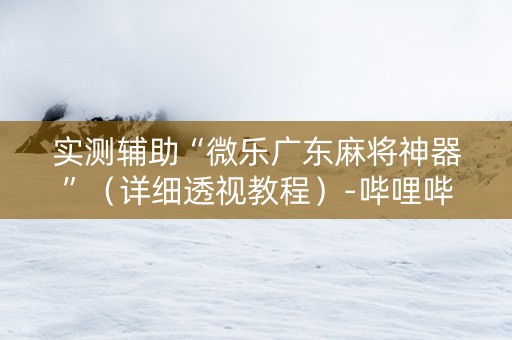 实测辅助“微乐广东麻将神器”（详细透视教程）-哔哩哔哩