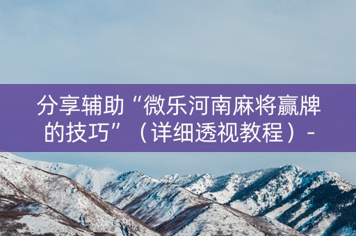 分享辅助“微乐河南麻将赢牌的技巧”（详细透视教程）-哔哩哔哩