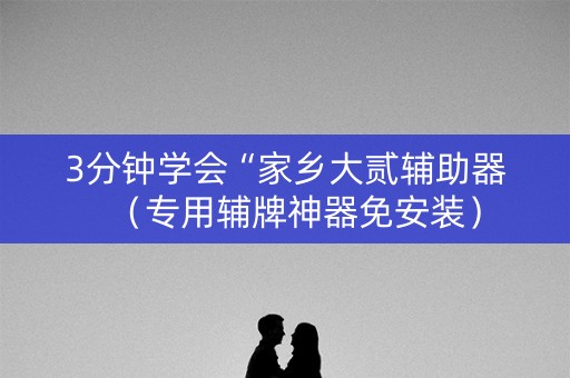 3分钟学会“家乡大贰辅助器（专用辅牌神器免安装）