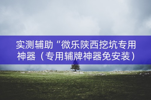 实测辅助“微乐陕西挖坑专用神器（专用辅牌神器免安装）