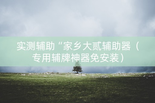 实测辅助“家乡大贰辅助器（专用辅牌神器免安装）