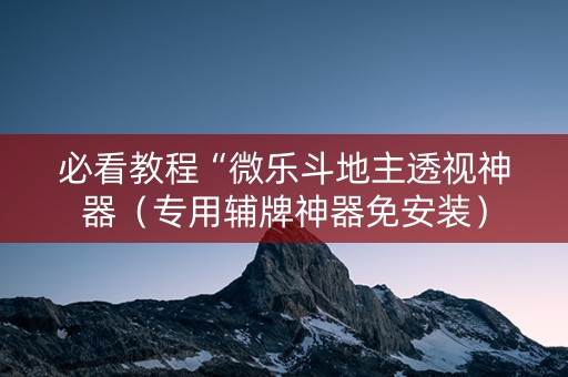 必看教程“微乐斗地主透视神器（专用辅牌神器免安装）