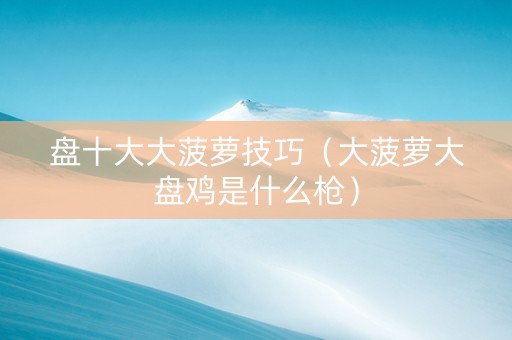 盘十大大菠萝技巧（大菠萝大盘鸡是什么枪）