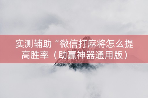 实测辅助“微信打麻将怎么提高胜率（助赢神器通用版）