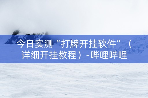 今日实测“打牌开挂软件”（详细开挂教程）-哔哩哔哩