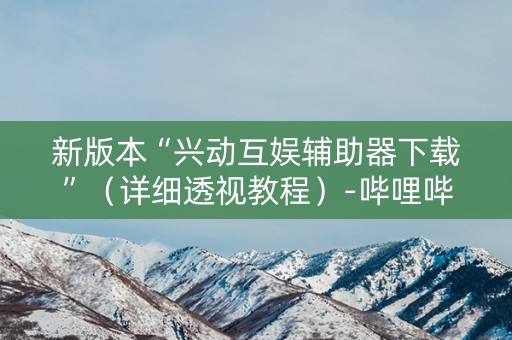 新版本“兴动互娱辅助器下载”（详细透视教程）-哔哩哔哩
