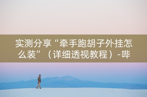 实测分享“牵手跑胡子外挂怎么装”（详细透视教程）-哔哩哔哩
