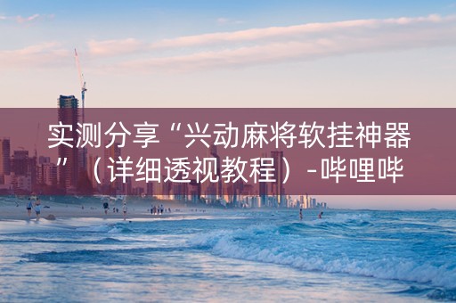 实测分享“兴动麻将软挂神器”（详细透视教程）-哔哩哔哩