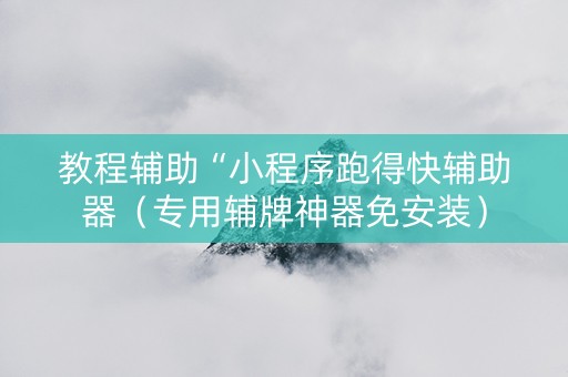 教程辅助“小程序跑得快辅助器（专用辅牌神器免安装）