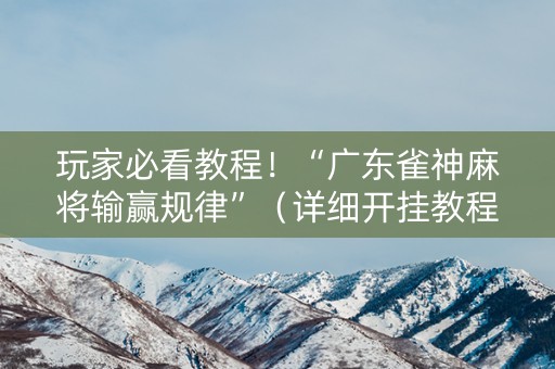 玩家必看教程！“广东雀神麻将输赢规律”（详细开挂教程）-哔哩哔哩