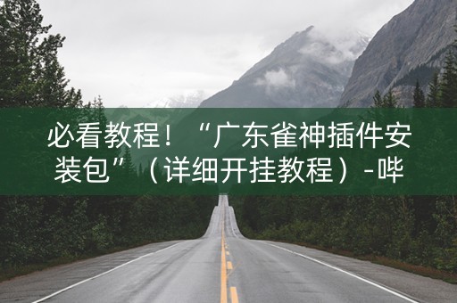 必看教程！“广东雀神插件安装包”（详细开挂教程）-哔哩哔哩
