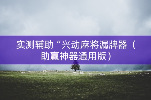 实测辅助“兴动麻将漏牌器（助赢神器通用版）