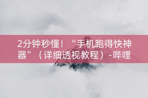 2分钟秒懂！“手机跑得快神器”（详细透视教程）-哔哩哔哩