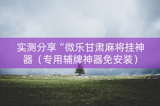 实测分享“微乐甘肃麻将挂神器（专用辅牌神器免安装）