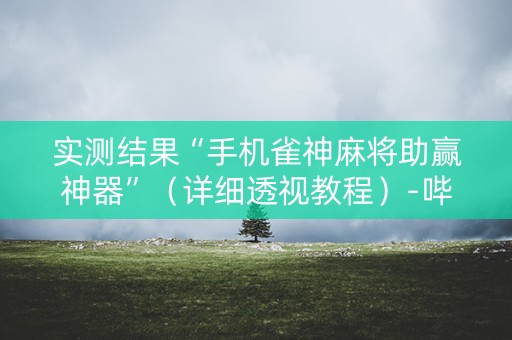 实测结果“手机雀神麻将助赢神器”（详细透视教程）-哔哩哔哩