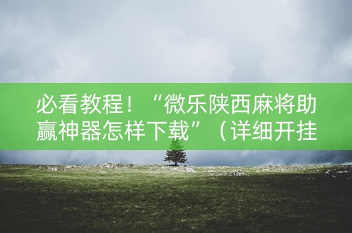 必看教程！“微乐陕西麻将助赢神器怎样下载”（详细开挂教程）-哔哩哔哩