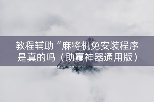 教程辅助“麻将机免安装程序是真的吗（助赢神器通用版）