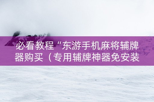必看教程“东游手机麻将辅牌器购买（专用辅牌神器免安装）