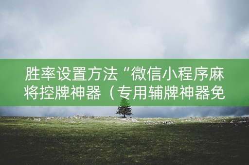 胜率设置方法“微信小程序麻将控牌神器（专用辅牌神器免安装）