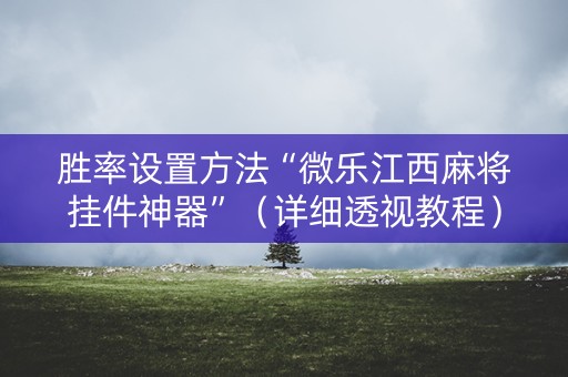 胜率设置方法“微乐江西麻将挂件神器”（详细透视教程）-哔哩哔哩