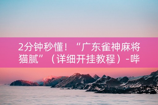 2分钟秒懂！“广东雀神麻将猫腻”（详细开挂教程）-哔哩哔哩