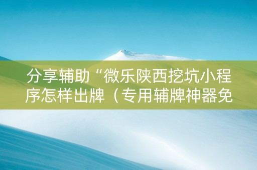 分享辅助“微乐陕西挖坑小程序怎样出牌（专用辅牌神器免安装）