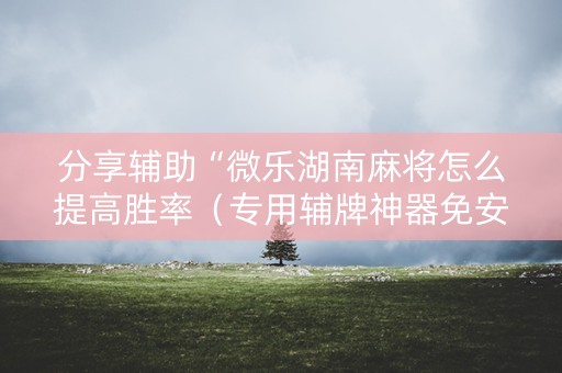 分享辅助“微乐湖南麻将怎么提高胜率（专用辅牌神器免安装）