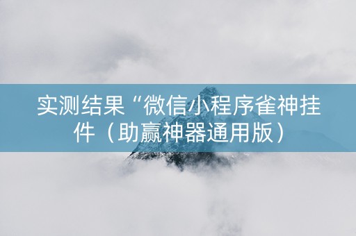 实测结果“微信小程序雀神挂件（助赢神器通用版）
