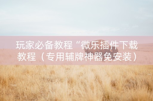 玩家必备教程“微乐插件下载教程（专用辅牌神器免安装）
