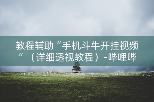教程辅助“手机斗牛开挂视频”（详细透视教程）-哔哩哔哩
