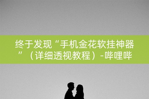 终于发现“手机金花软挂神器”（详细透视教程）-哔哩哔哩