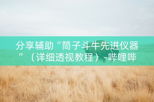分享辅助“筒子斗牛先进仪器”（详细透视教程）-哔哩哔哩