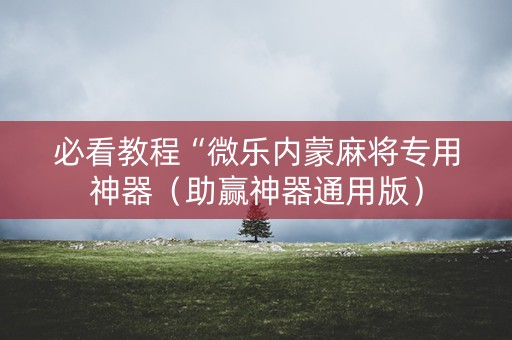 必看教程“微乐内蒙麻将专用神器（助赢神器通用版）