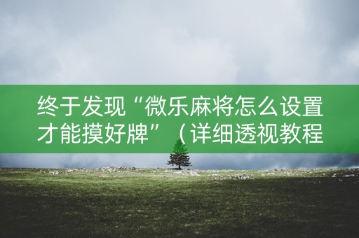 终于发现“微乐麻将怎么设置才能摸好牌”（详细透视教程）-哔哩哔哩