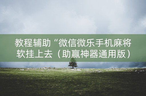 教程辅助“微信微乐手机麻将软挂上去（助赢神器通用版）